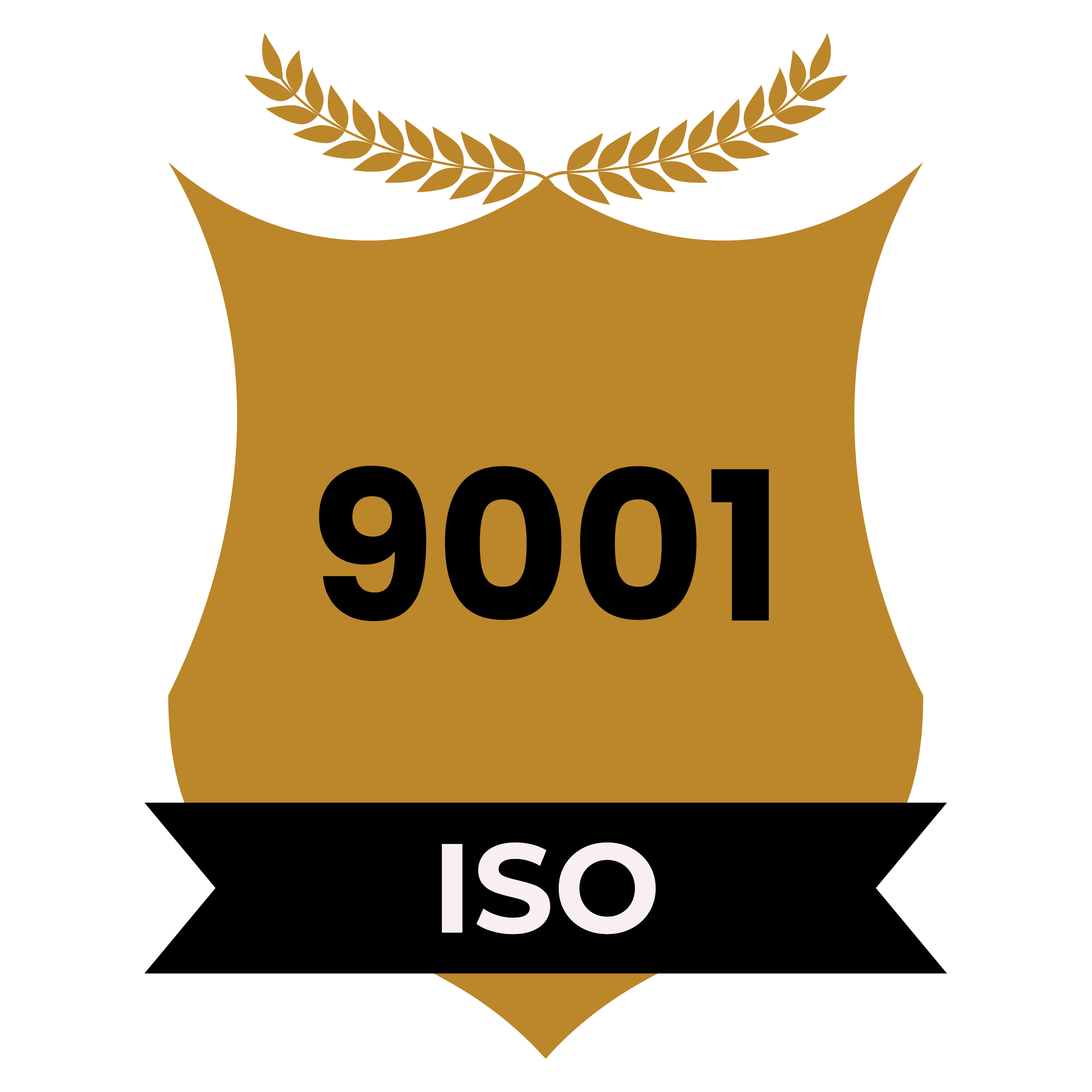 iso9001
